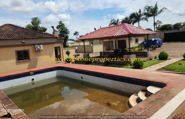 WhatsApp-Image-2026-02-10-at-17.21.42-1