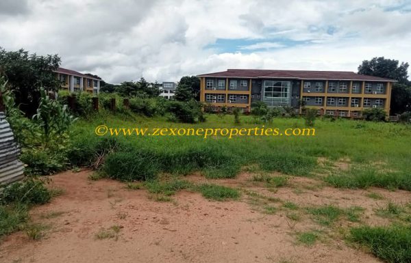 WhatsApp-Image-2026-02-18-at-11.00.18