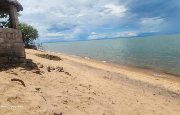 WhatsApp-Image-2026-03-01-at-10.52.15-1