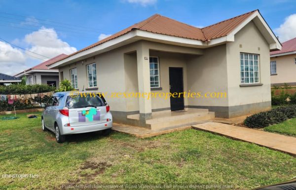 WhatsApp-Image-2026-03-09-at-11.01.07-1